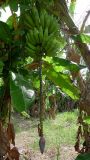 MEX_0071.jpg